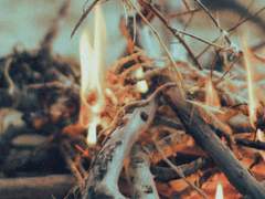 [시카] 다행인 삶