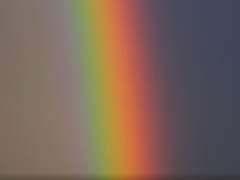 우리가 사랑하는 모든 것의 색깔