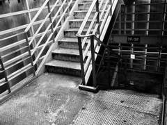 [살인성애자]08-여우의 증명(1)