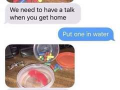 20231127 무기미도주저리들