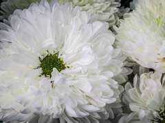 [오수이한]영원히 밝지 않는 밤은 없으니 - 4