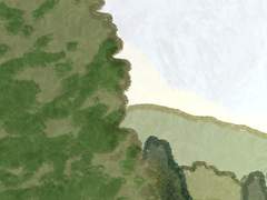 To. 친애하는 나의 아기강아지에게.