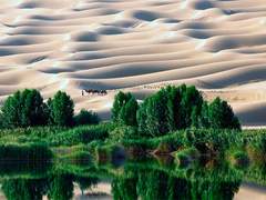 평온의 오아시스: 이집트의 사막 풍경 탐험