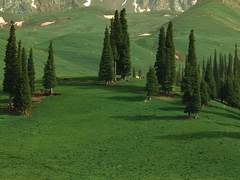 올가, 멀리 있는 내 친구에게