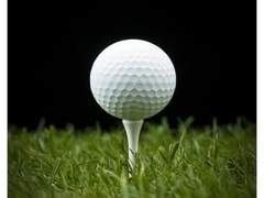 일기 7 - 개같은 놈들