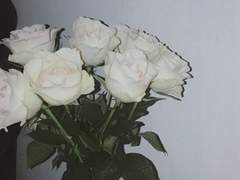 작은 달 그림자에도 가려지는 미련이라 부르고 싶었건만