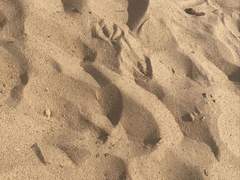 무너진 모래성에서도 만남이 있어서