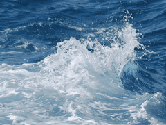 13%의 파도가 치는 오후