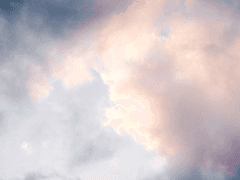 라나의 모험일지 초안