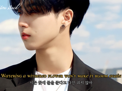 💧널 놓았던 게 미치도록 후회된다💧 Stray Kids Han - Wish You Back