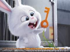 23.11.28 느리지만 부지런하게