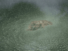 문과적 SF영화는 호러영화다