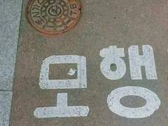 친애하는 독자기님께 📬🐦