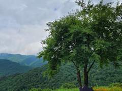 1. 엄마가 죽었다.