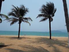 지니의 세상 구경(3)