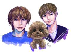 이제 누가 푸들이죠