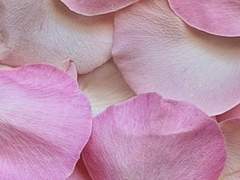 마법💖소녀도 원래 물💖리로 악당을 물리쳤다죠⭐❓