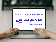 How to Choose the Right Partner for CargoWise Customization?