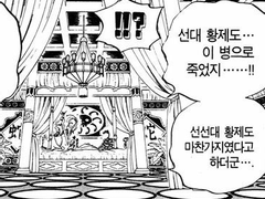 루피 어머님에 관한 그 가설