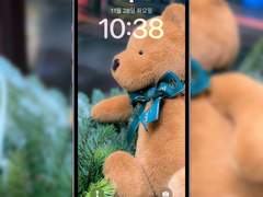 [배경화면] winter bear ver.2