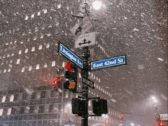 나의 일기_2024. 1. 11