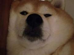 기말 끝나면 뭐할까