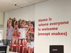 11월 16일) 렌트카 비용을 3배 지불하며 시작된 뉴질랜드 여행