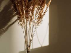 요헤로스와 댐시케+