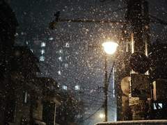 [백호열] 첫눈이 내린다구요