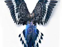 [현철명헌] 시치미.