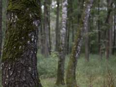 그녀는 과연 천사인가.