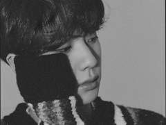 나의 개 같은 가이드