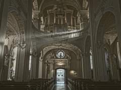 𝐃𝐚𝐯𝐢𝐝 𝐕𝐢𝐧𝐜𝐞𝐧𝐳𝐨 ( 다비드 빈첸죠 )