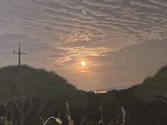 은혜를 모르는 1