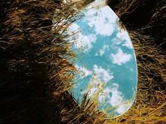 ㅅㅇㅅ님 감상문 커미션