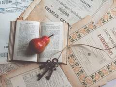 에덴 브릴란테 / XX / 후플푸프 / 혼혈 / 5학년