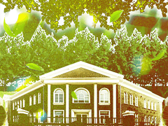 다법 배 결혼하고 싶은 / 결혼하기 싫은 캐릭터