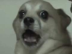 학식남과의 결말.kakao