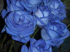 II. Once In A Blue Moon