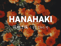 노랑 히아신스와 붉은 아도니스