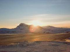 나는 나를 잃었다.