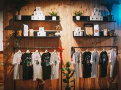 Unlocking the Potential of Plain T-Shirts in Bulk: A Comprehensive Guide