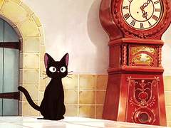 성인이라며가 끝났습니당!