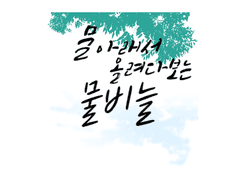 물 아래서 올려다보는 물비늘