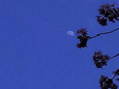 완전(婉轉)하다.