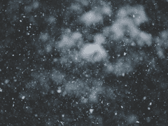 신망하는 나의 파란에게