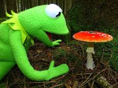 20231201 무기미도주저리들