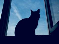 프롤로그. (+ au 설명.)