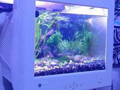 이 아이를 피하세요!