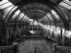 <AMF> 르 푀르 박물관 생존자 지침(上)